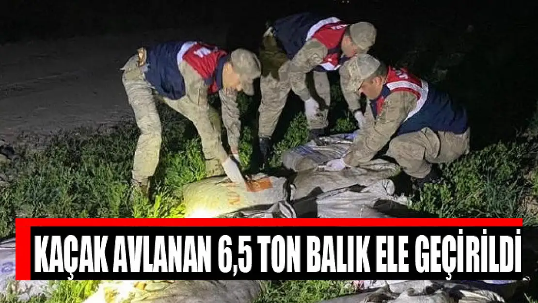 Kaçak avlanan 6,5 ton balık ele geçirildi