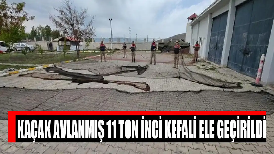 Kaçak avlanmış 11 ton inci kefali ele geçirildi