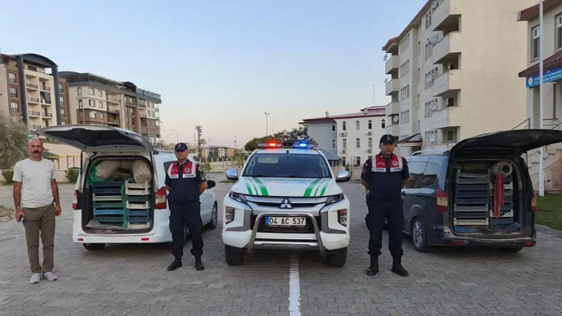 Kaçak kurbağa avcılığına operasyon