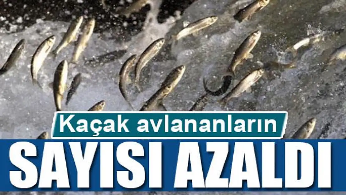 Kaçak avlananların sayısı azaldı