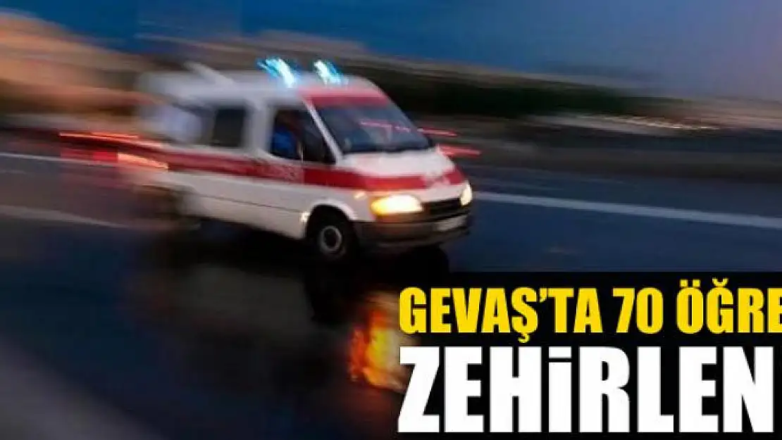 Gevaş'ta 70 öğrenci zehirlendi