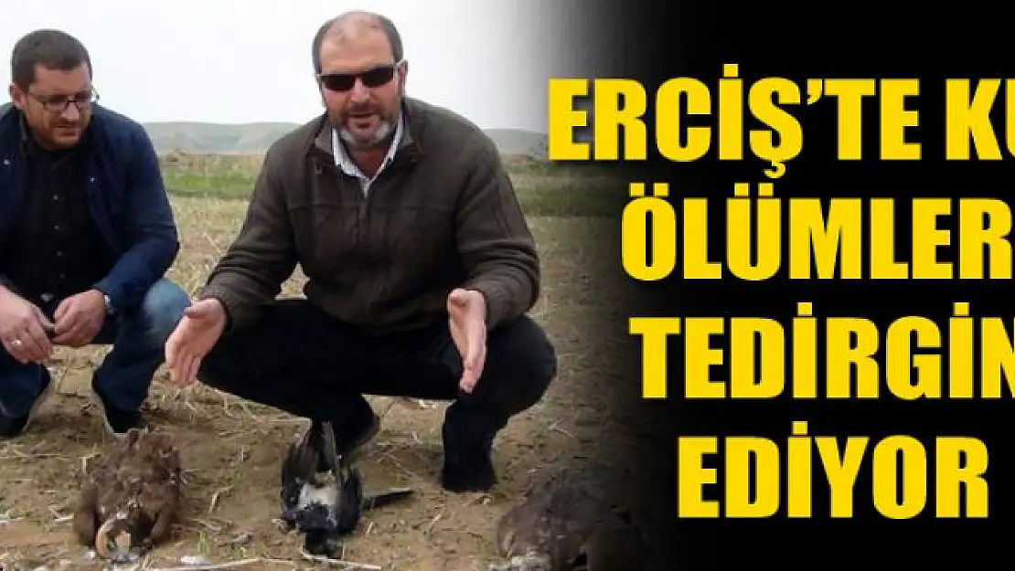 Erciş'te kuş ölümleri tedirgin ediyor