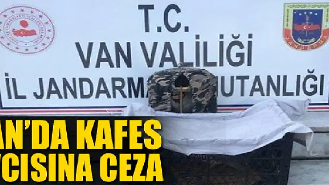 Van'da kafes avcısına ceza