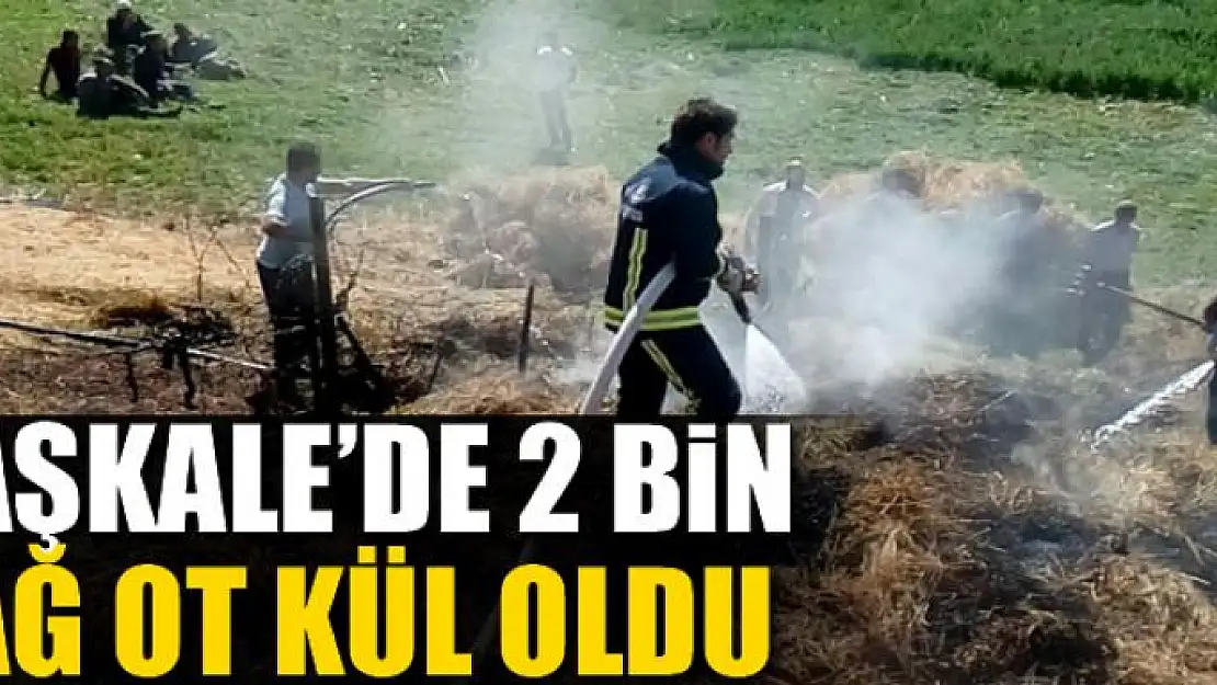 Başkale'de 2 bin bağ ot kül oldu