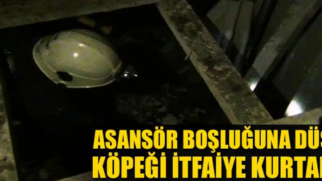 Asansör boşluğuna düşen köpeği itfaiye kurtardı