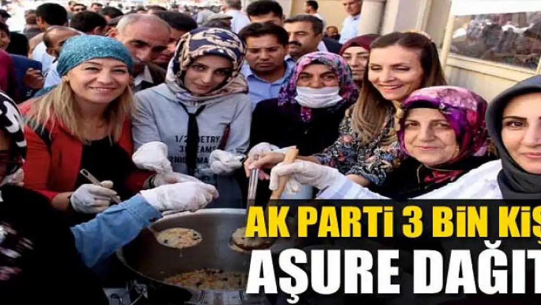 Ak Parti Van'da 3 bin kişiye aşure dağıttı