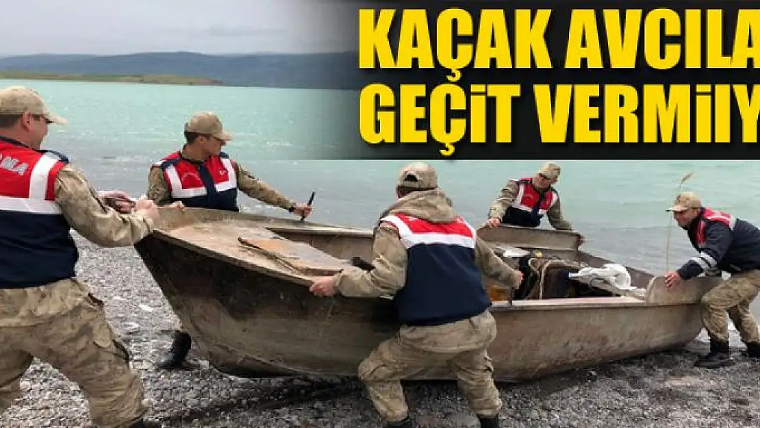 Jandarma kaçak avcılara geçit vermiyor 