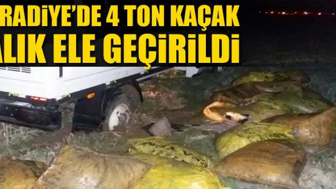 Muradiye'de 4 ton kaçak balık ele geçirildi 