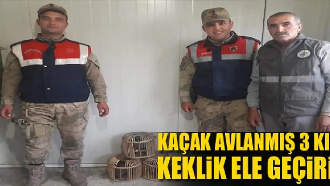 Kaçak avlanmış 3 kınalı keklik ele geçirildi