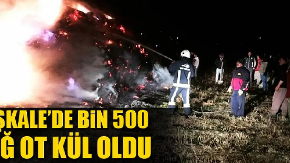 Başkale'de bin 500 bağ ot kül oldu