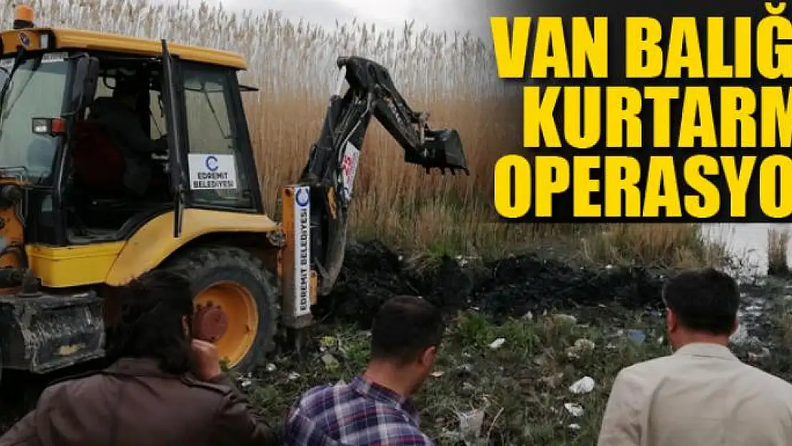 Van balığını kurtarma operasyonu 