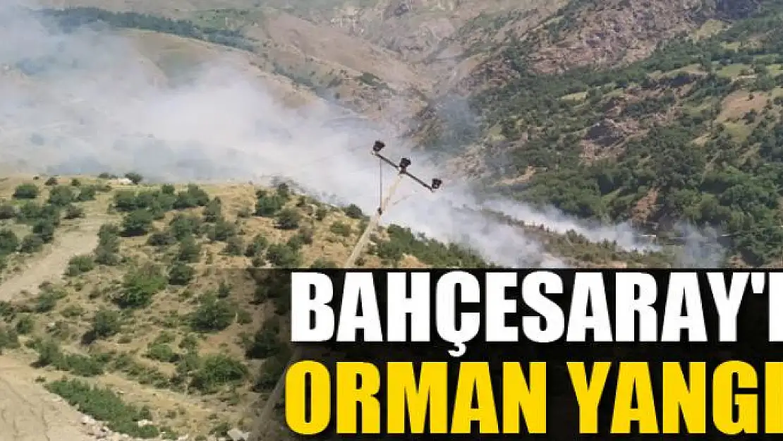 Bahçesaray'da orman yangını