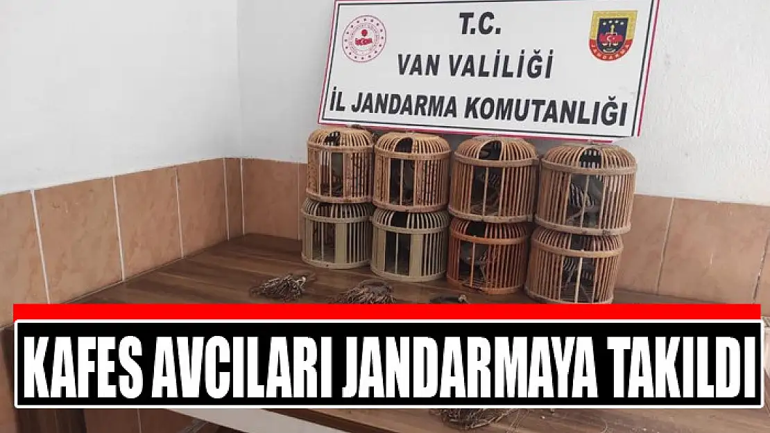 Kafes avcıları jandarmaya takıldı