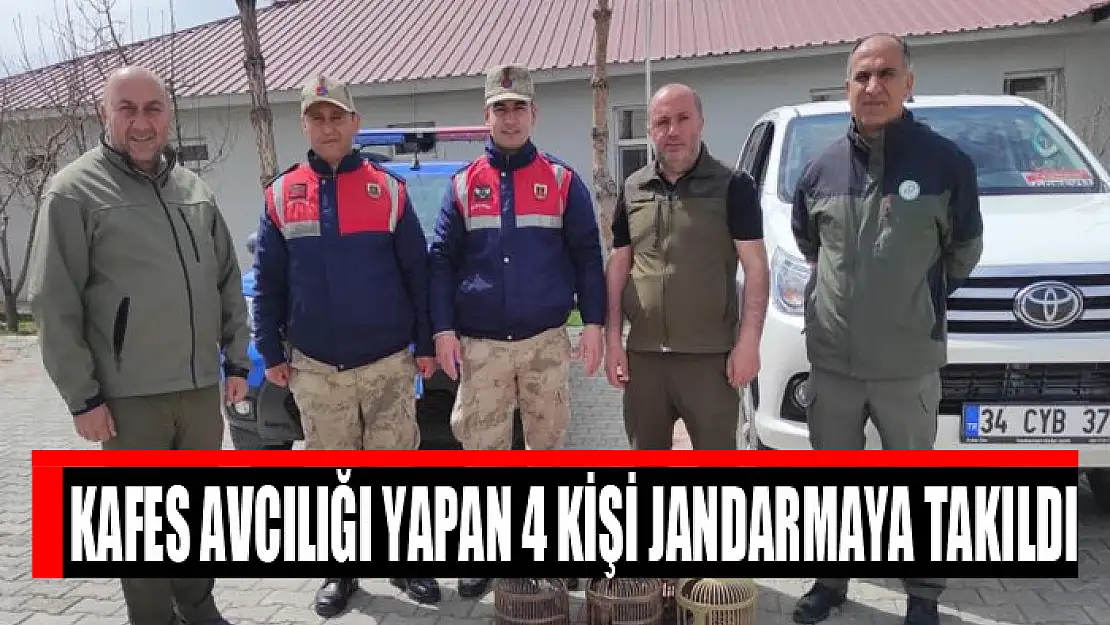 Kafes avcılığı yapan 4 kişi jandarmaya takıldı