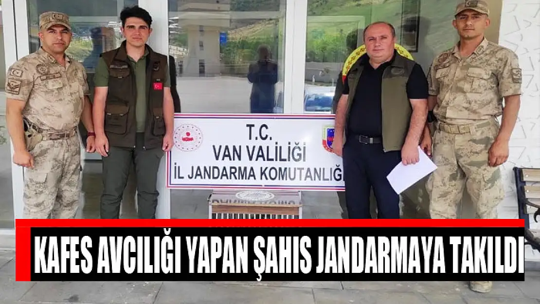 Kafes avcılığı yapan şahıs jandarmaya takıldı