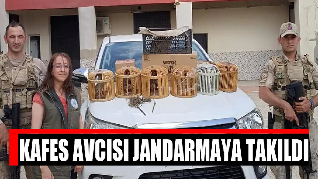 Kafes avcısı jandarmaya takıldı