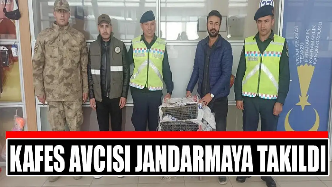 Kafes avcısı jandarmaya takıldı