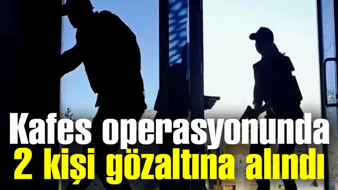 Kafes operasyonunda 2 kişi gözaltına alındı