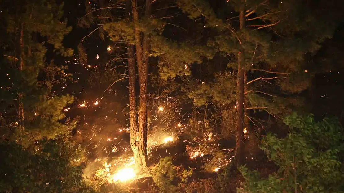 Kahramanmaraş'taki orman yangınına gece müdahalesi