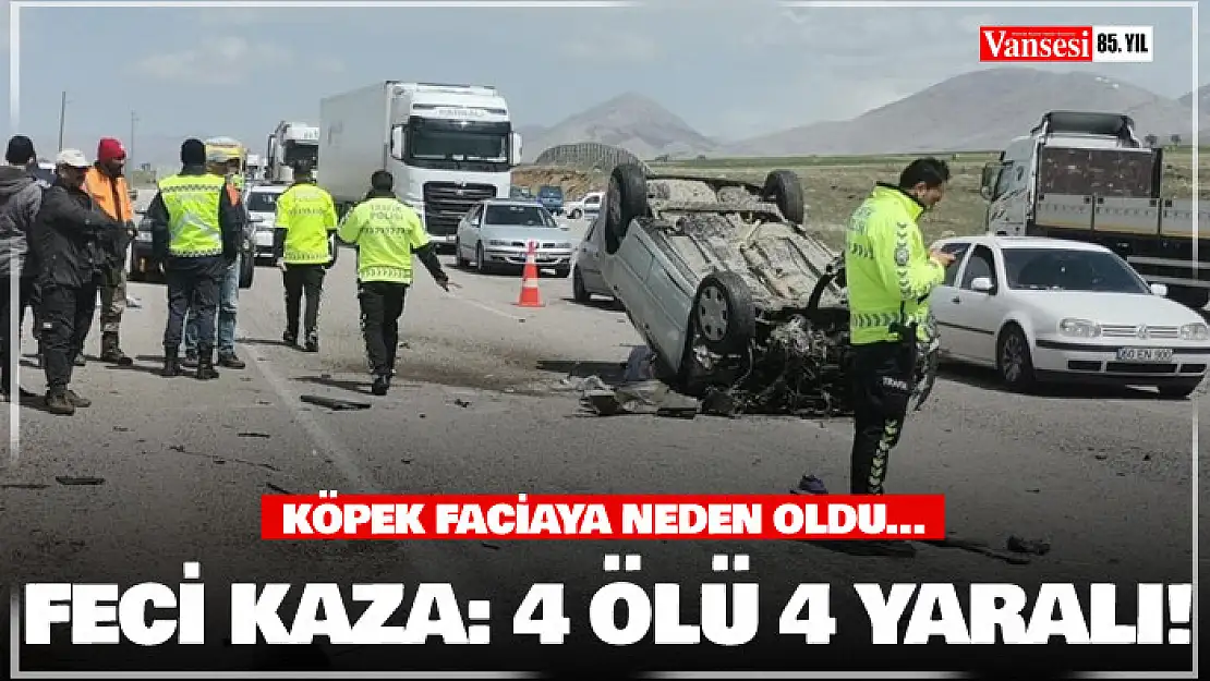 Kahramanmaraş'ta kaza, köpek faciaya neden oldu: 4 ölü 4 yaralı