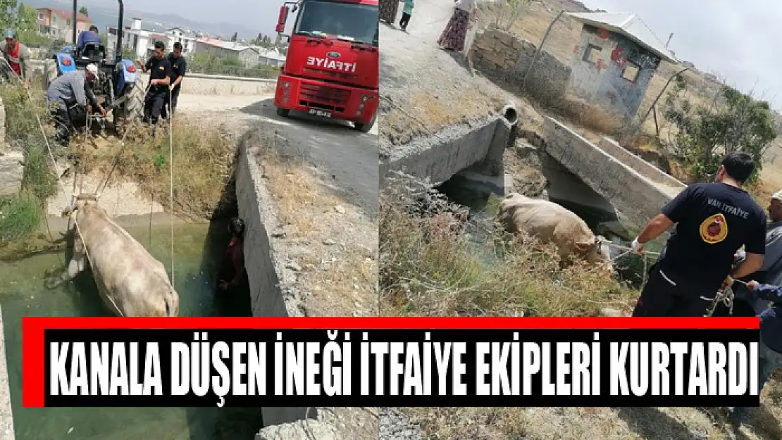 Kanala düşen ineği itfaiye ekipleri kurtardı