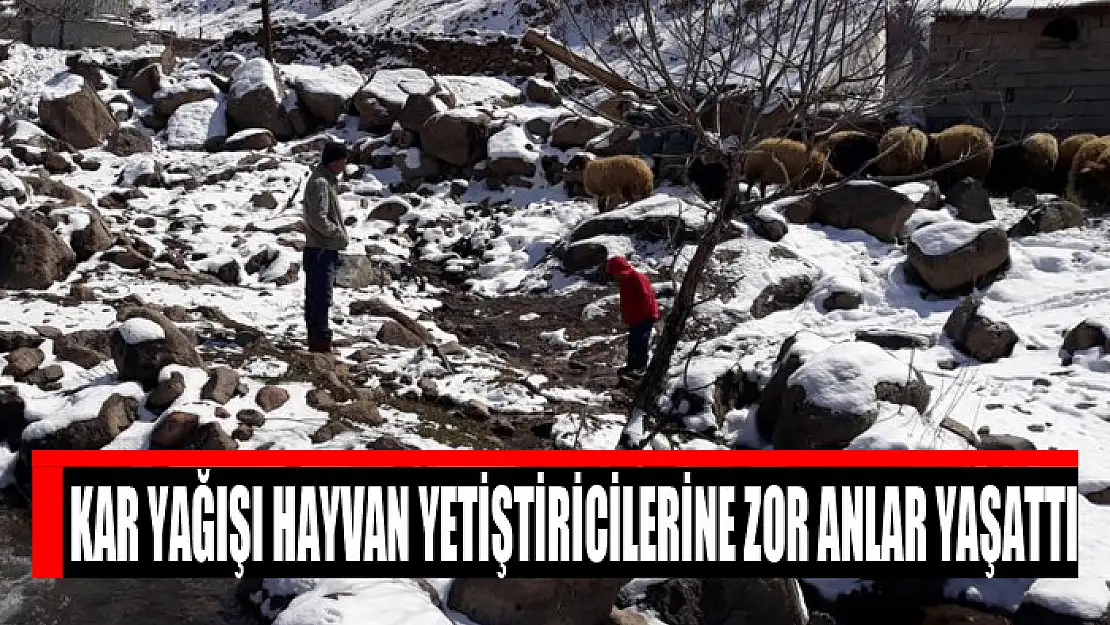 Kar yağışı hayvan yetiştiricilerine zor anlar yaşattı