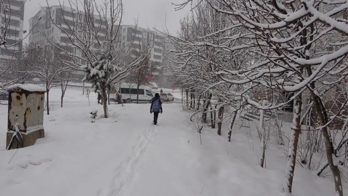 Kar yağışından dolayı 111 köy yolu ulaşıma kapandı