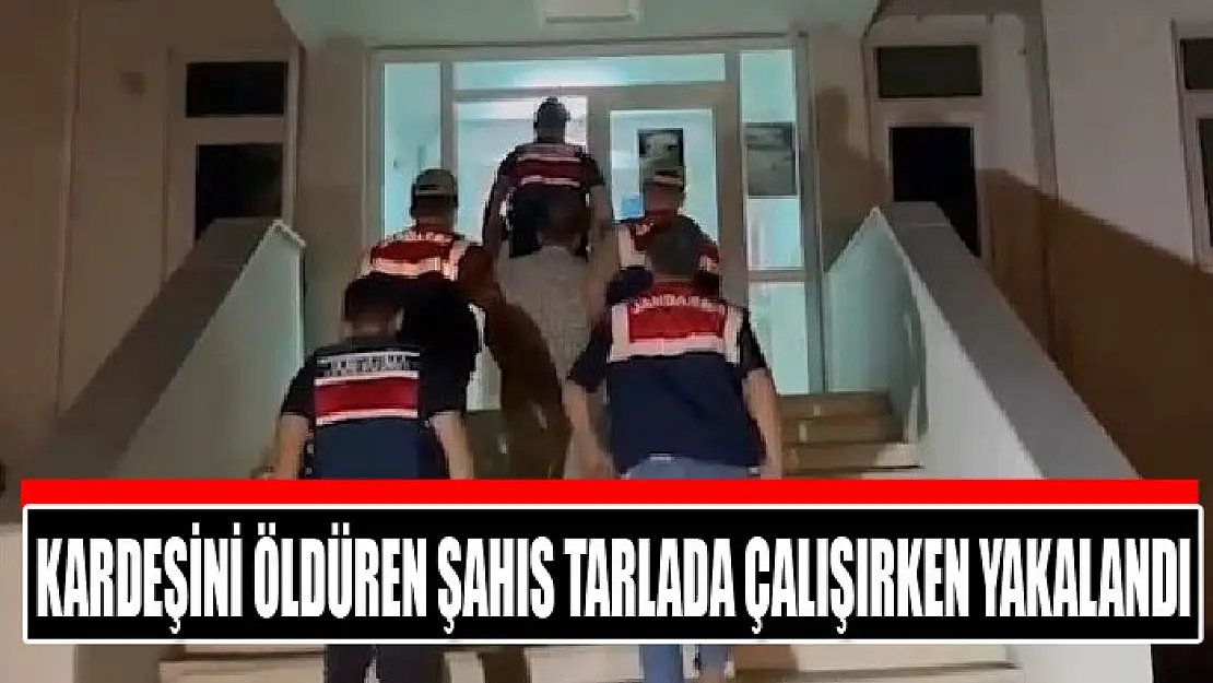 Kardeşini öldüren şahıs tarlada çalışırken yakalandı