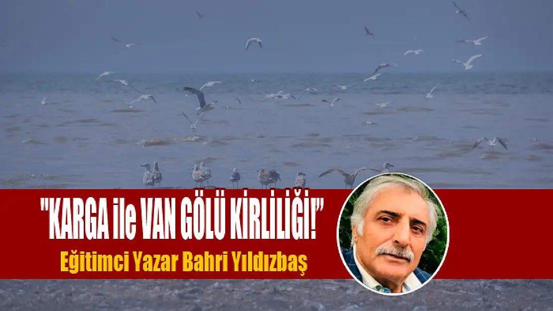 'KARGA ile VAN GÖLÜ KİRLİLİĞİ!'