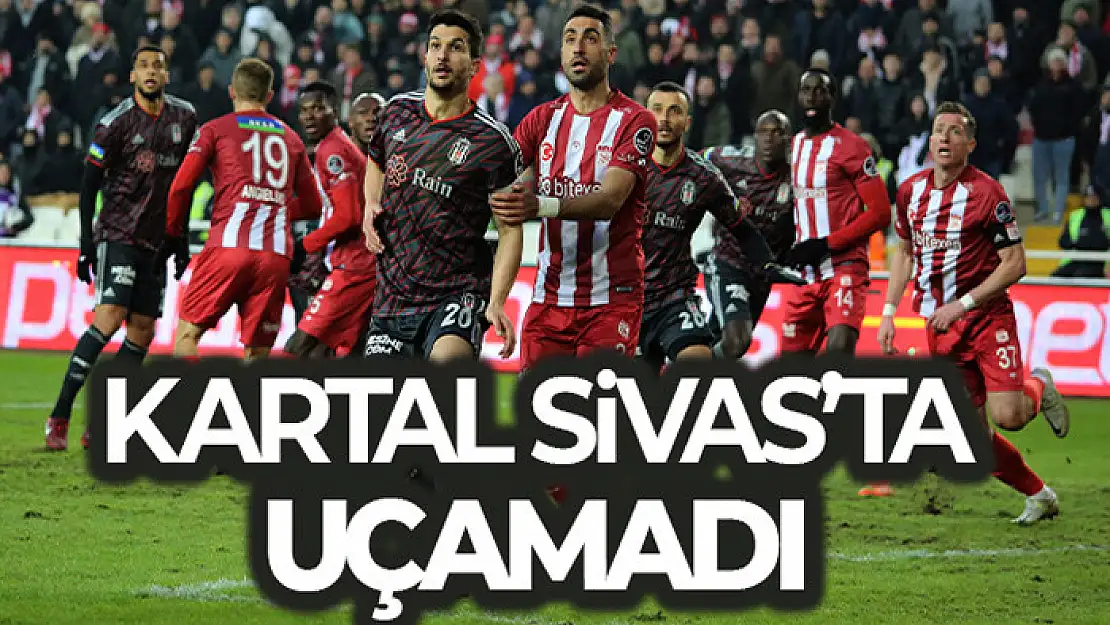 Kartal Sivas'ta uçamadı