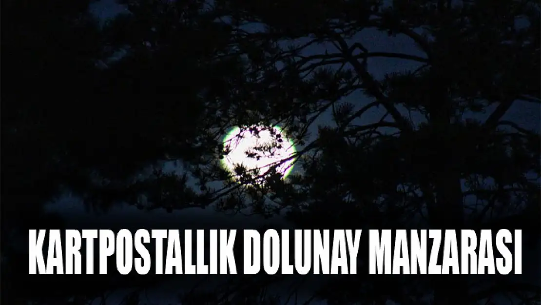 Kartpostallık dolunay manzarası