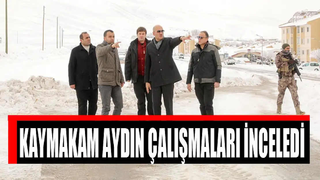 KAYMAKAM AYDIN ÇALIŞMALARI İNCELEDİ