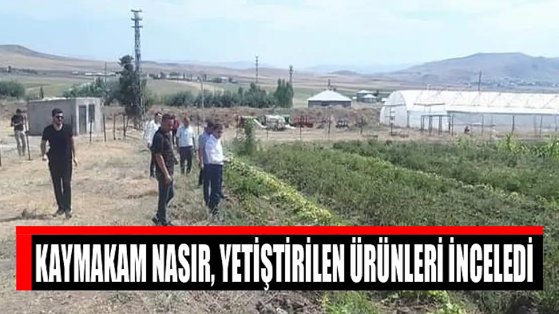 Kaymakam Nasır, yetiştirilen ürünleri inceledi