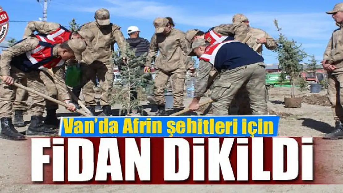 Van'da Afrin şehitleri için fidan dikildi