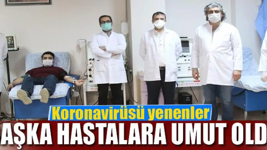 Korona virüsü yenenler başka hastalara umut oldu