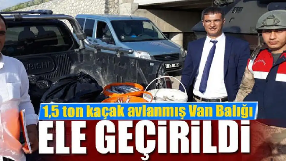 1,5 ton kaçak avlanmış Van Balığı ele geçirildi 