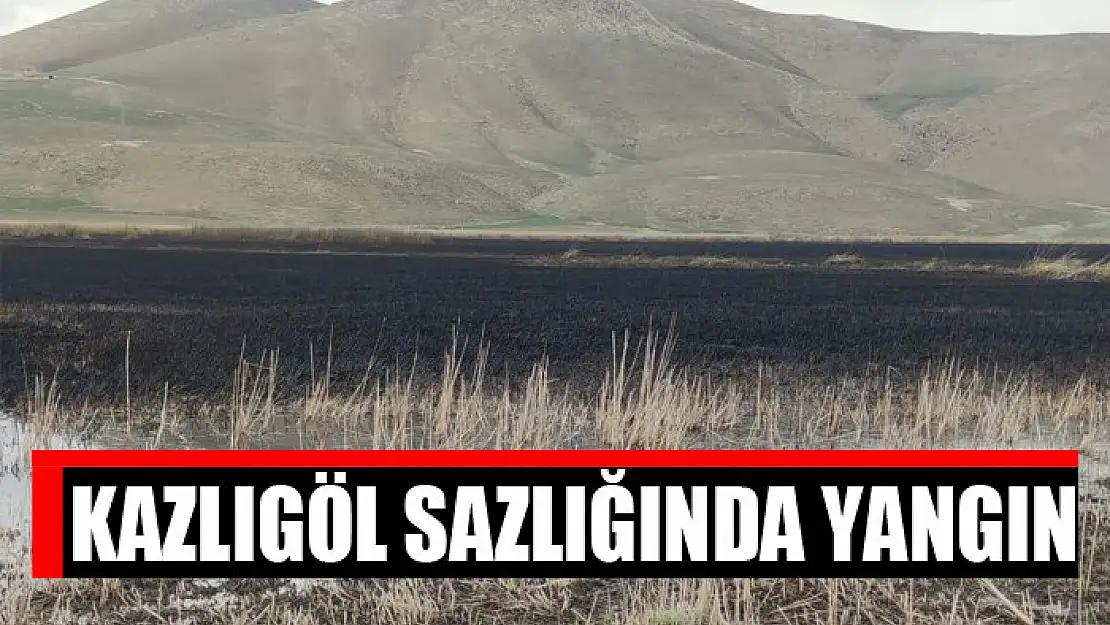 Kazlıgöl sazlığında yangın