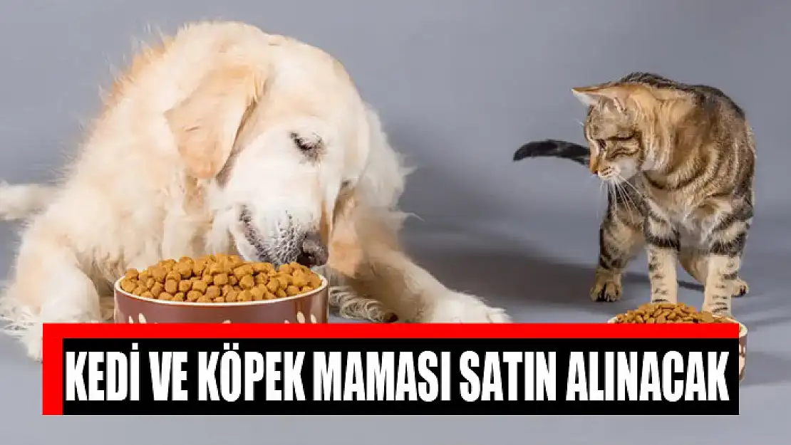 Kedi ve köpek maması satın alınacak