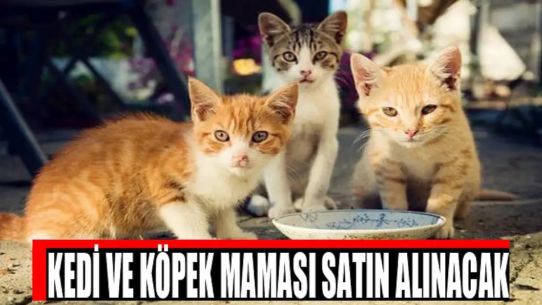 Kedi ve köpek maması satın alınacak