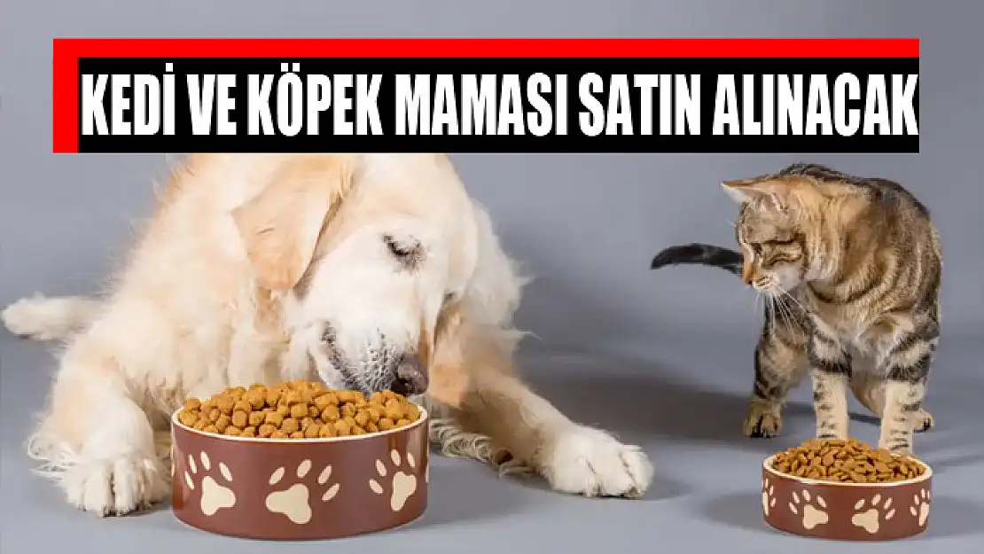 Kedi ve köpek maması satın alınacak