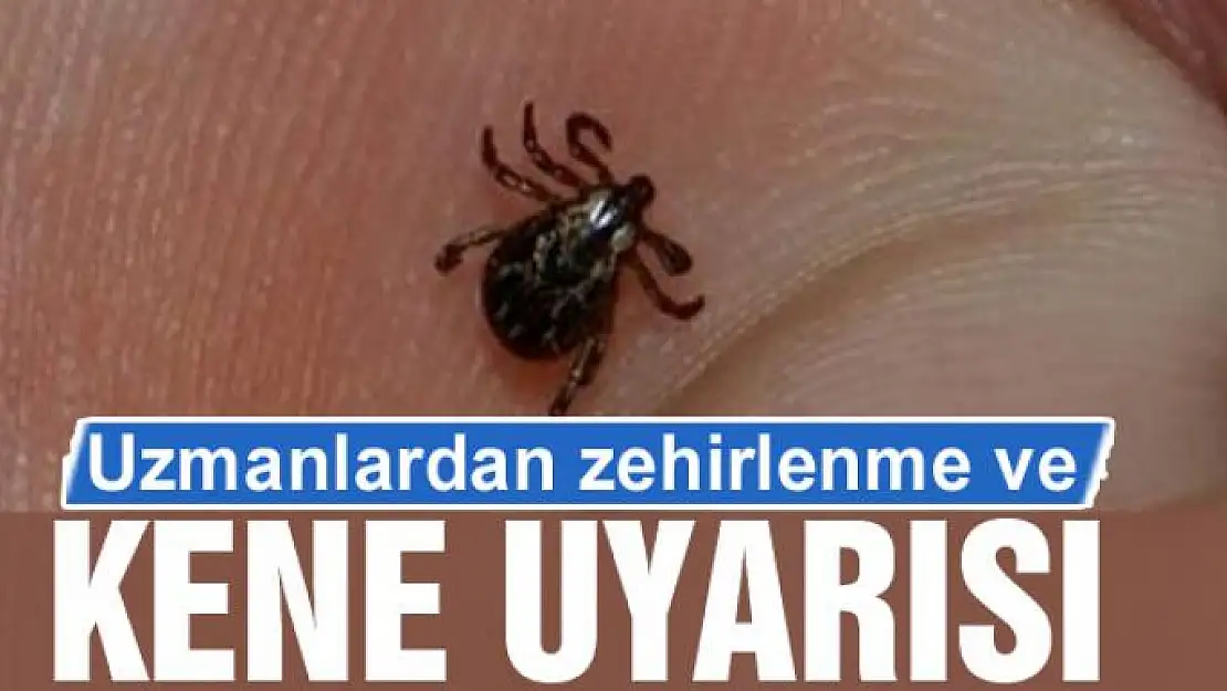 Uzmanlardan hayvan yetiştiricilerine zehirlenme ve kene uyarısı