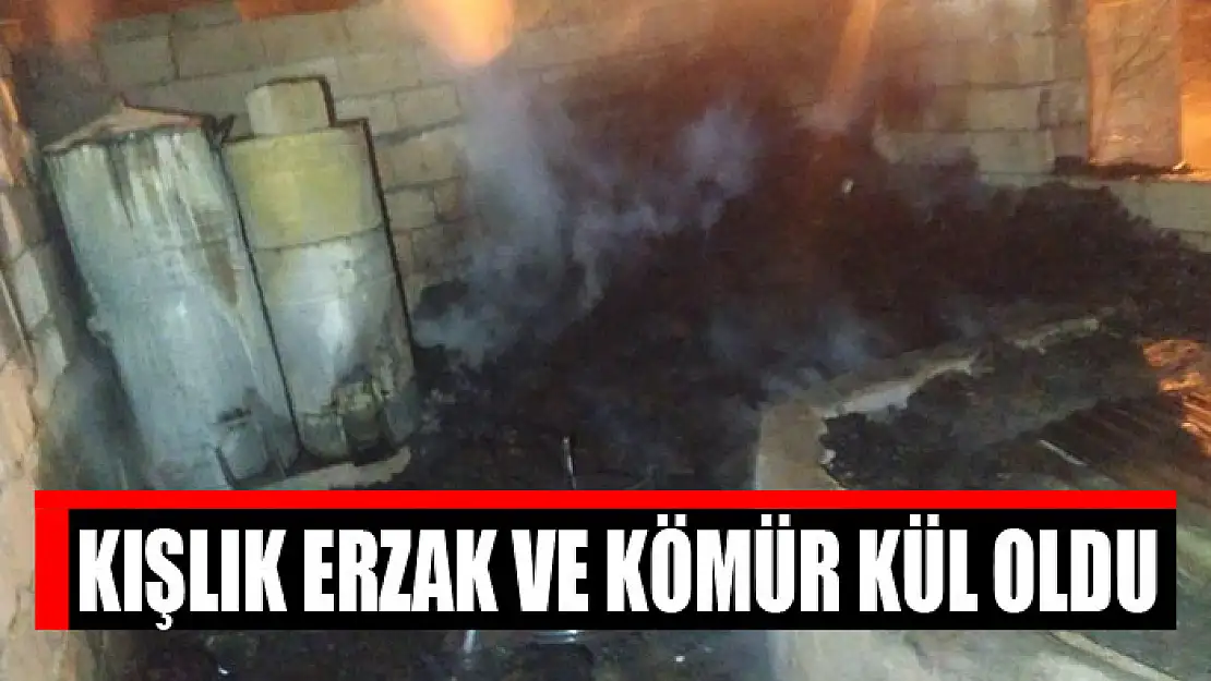 Kışlık erzak ve kömür kül oldu