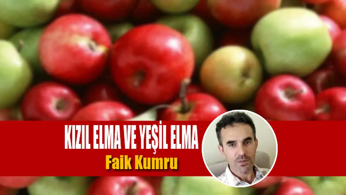 KIZIL ELMA VE YEŞİL ELMA