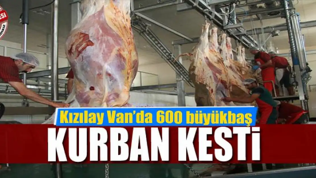 Türk Kızılayı Van'da 600 büyükbaş kurban kesti