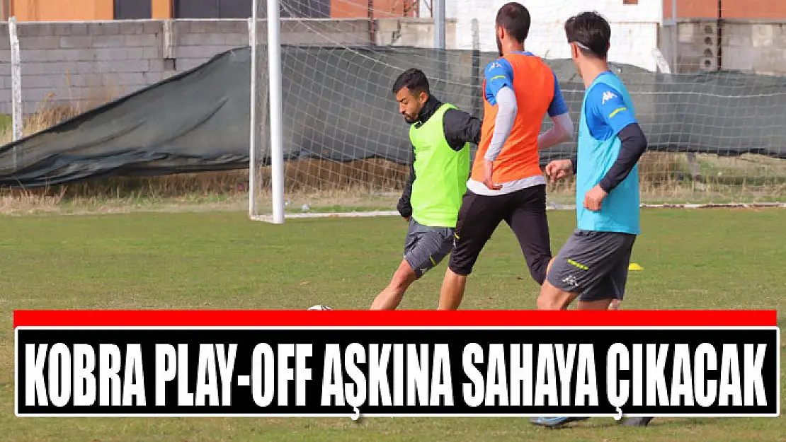 KOBRA PLAY-OFF AŞKINA SAHAYA ÇIKACAK