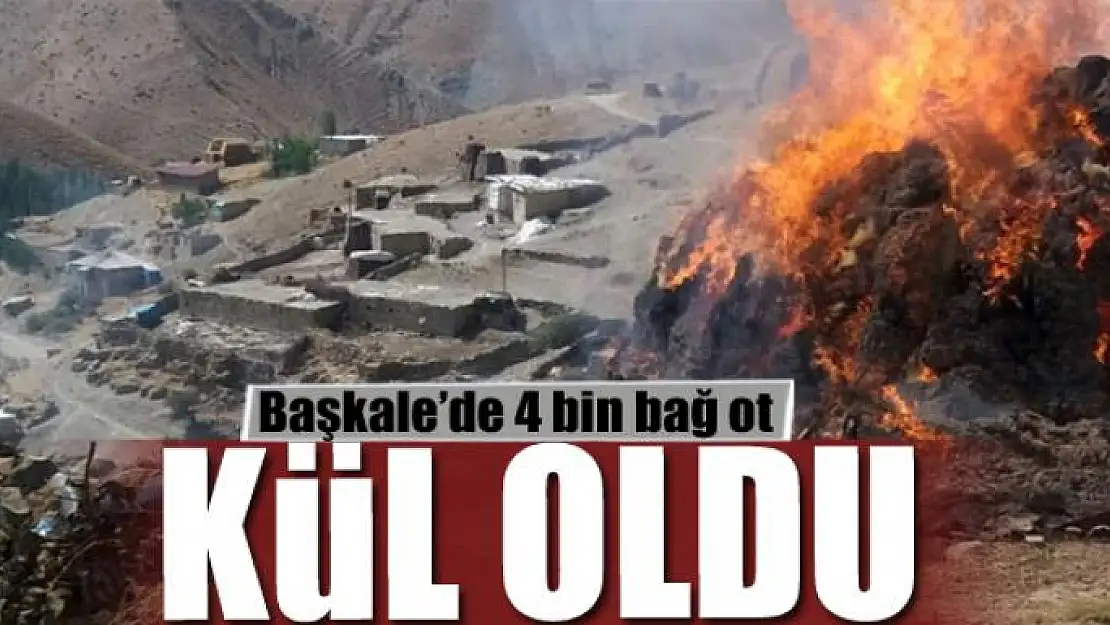 Başkale'de 4 bin bağ ot kül oldu