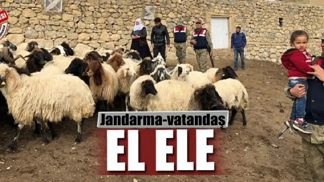 Jandarma-vatandaş el ele 