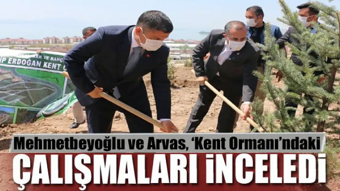 Mehmetbeyoğlu ve Arvas, 'Kent Ormanı'ndaki çalışmaları inceledi