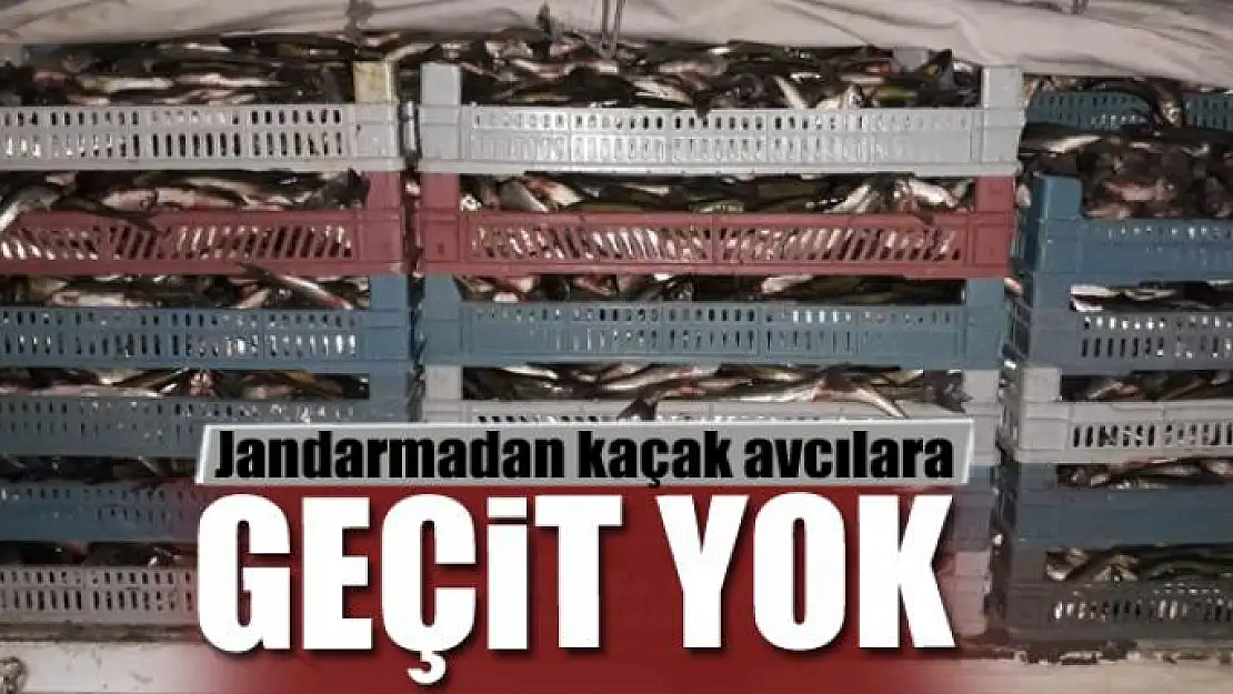 Jandarmadan kaçak avcılara geçit yok