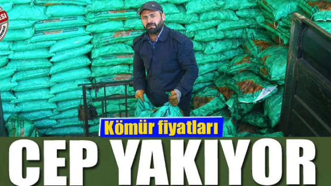 Kömür fiyatları cep yakıyor 